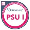 Professional Scrum User Experience I